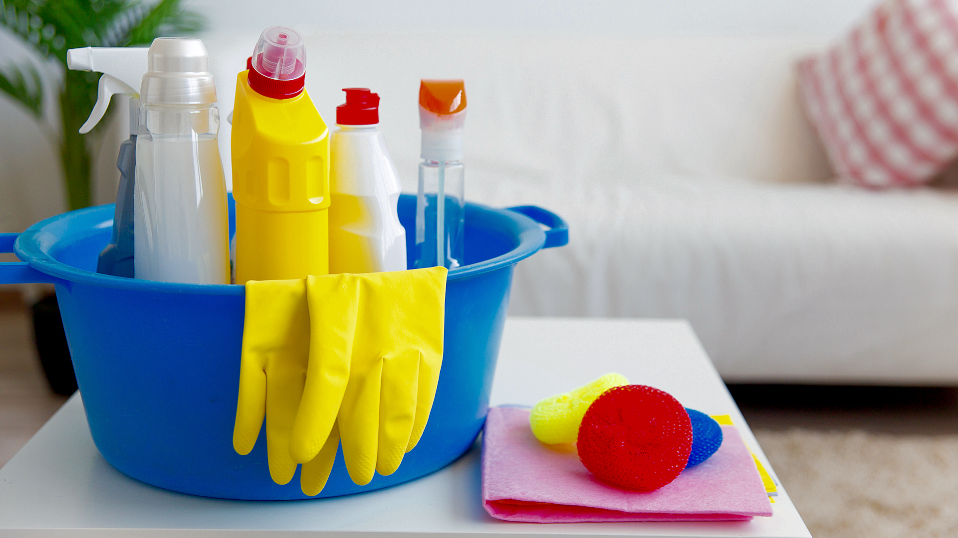 Picking the best residential cleaning service in Orlando