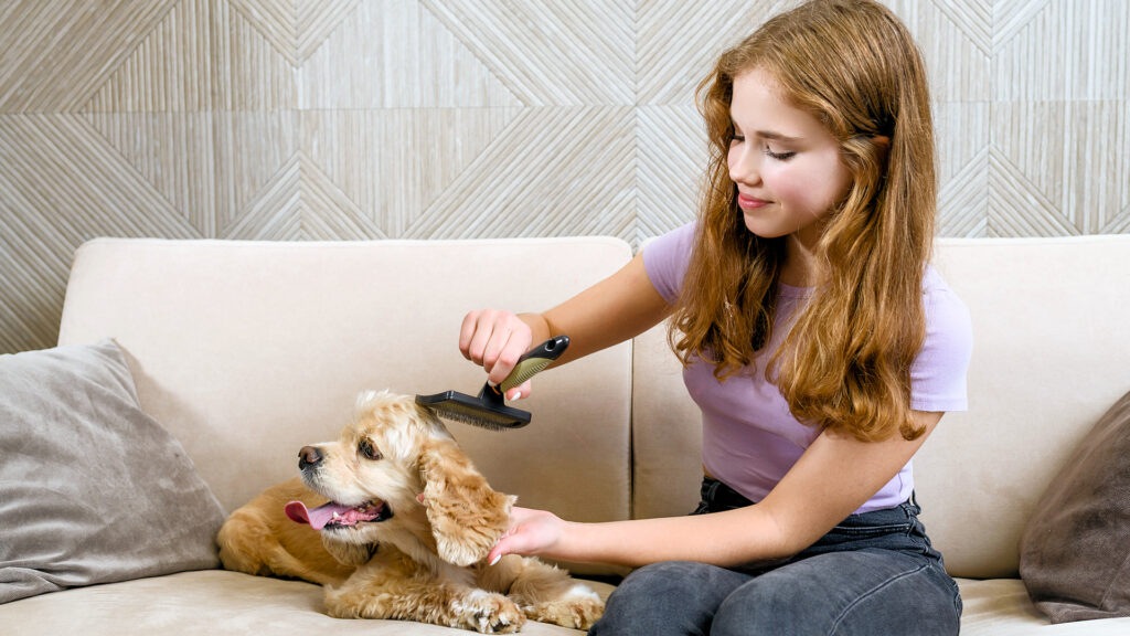 Removing dog hair grooming