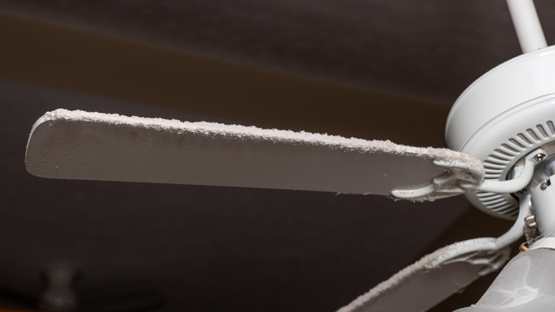 How to clean ceiling fans