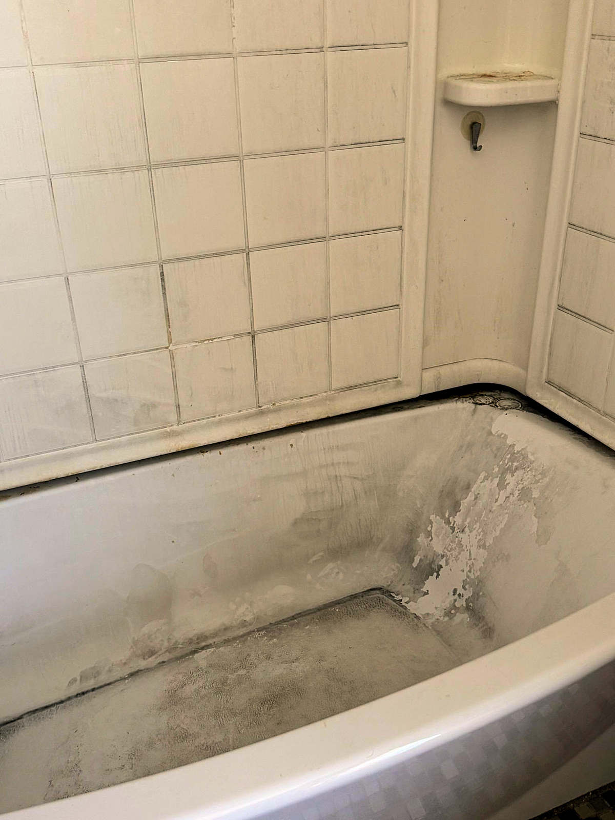 Covenant Cleaning Services before and after pictures