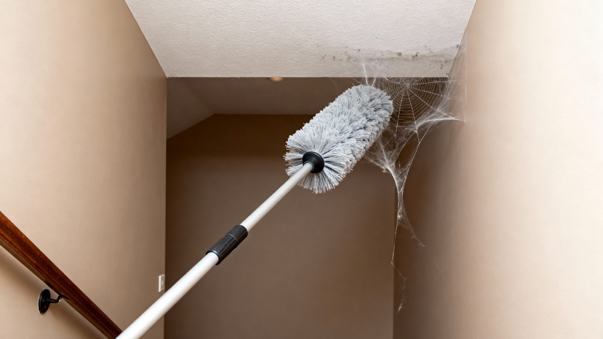 How to clean and remove cobwebs